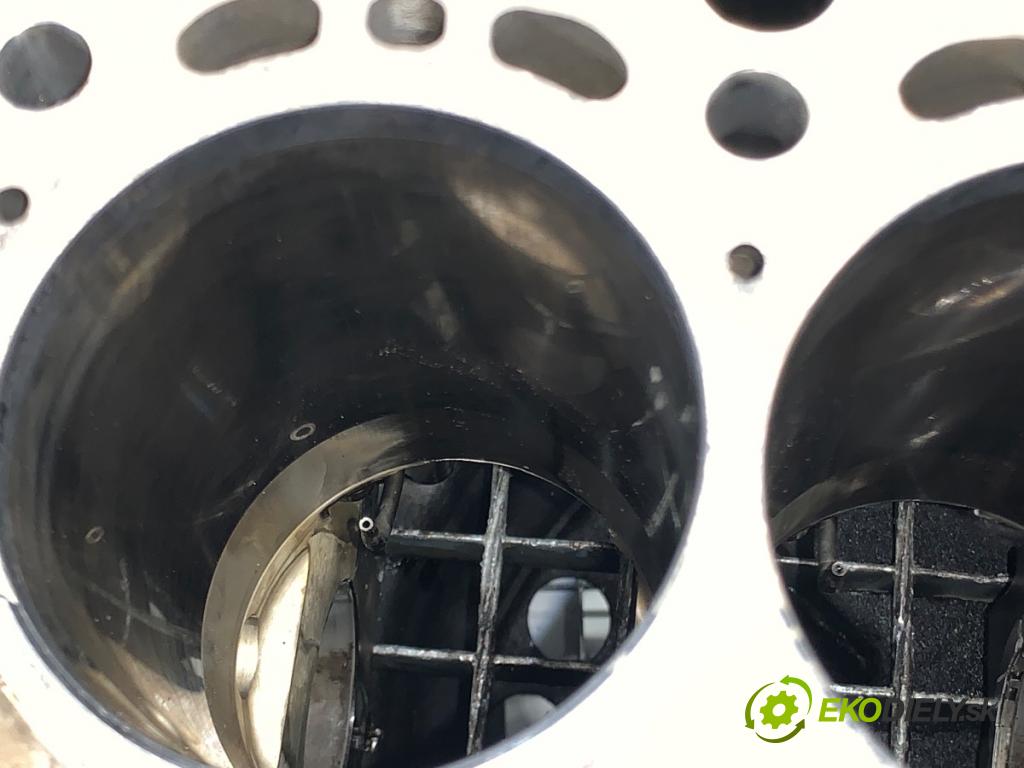 BMW E60 sedan 2007 173 kW 530 d 2993 JEDNOTKA: motora 7792822 (Blok motoru)