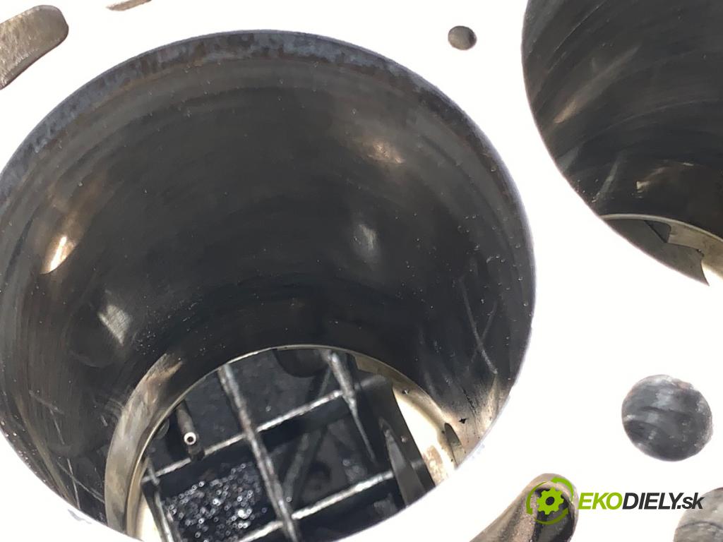 BMW E60 sedan 2007 173 kW 530 d 2993 JEDNOTKA: motora 7792822 (Blok motoru)