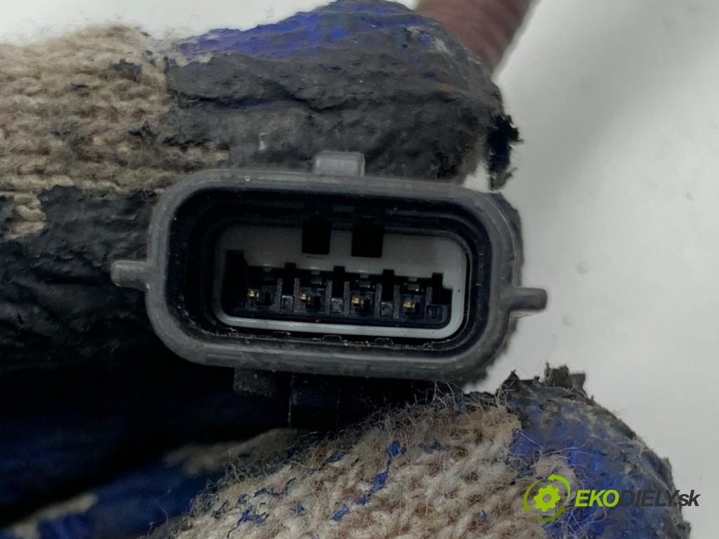 RENAULT GRAND SCENIC III nadwozie wielkoprzestrzenne (MPV) 2010 96 kW 1.4 16V (JZ0F) 1397 sonda lambda 0258010062 (Lambda sonda)