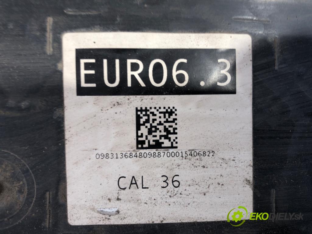 PEUGEOT BOXER II Skrzynia 2022 103 kW 2.2 BlueHDi 140 2179 Nádržka SCR: 4106406AB