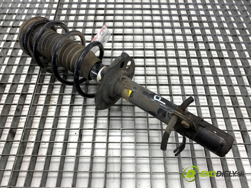 CITROEN C1 liftback 2007 40 kW 1.4 HDi 1398 Tlmič pravy predný