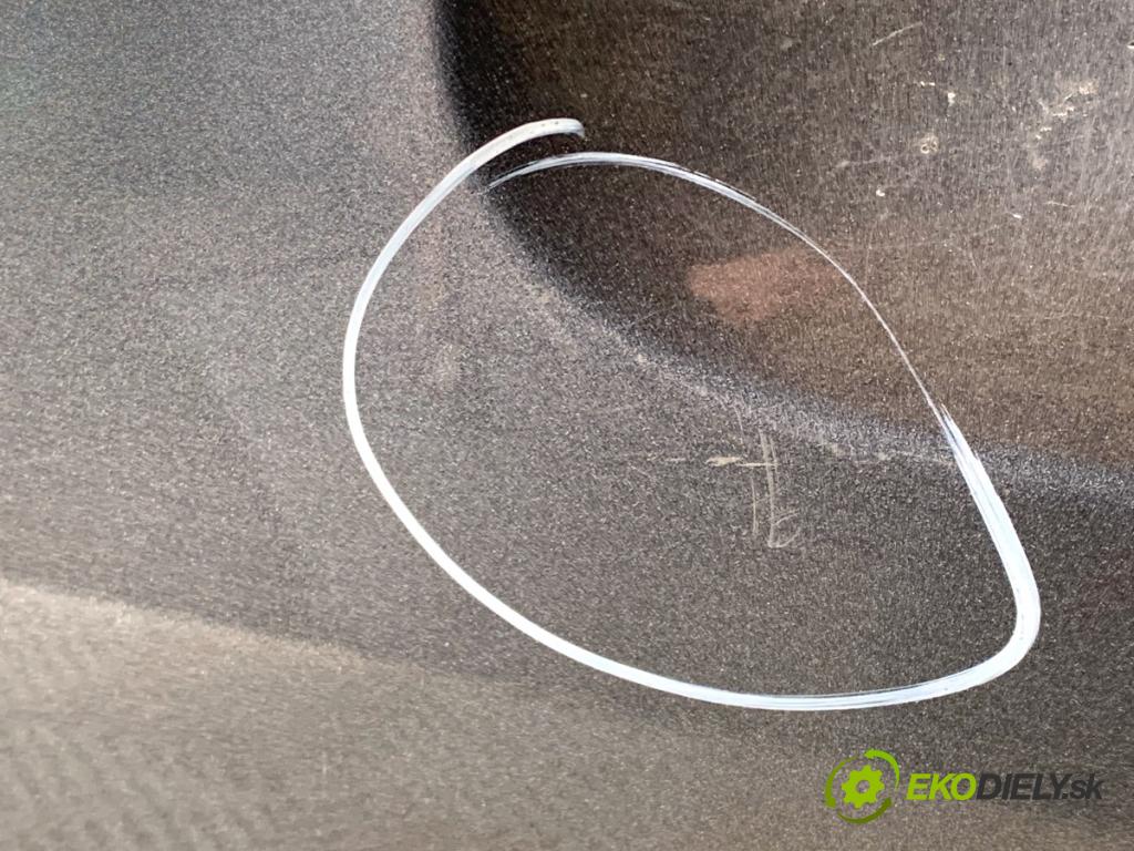 HYUNDAI i10 liftback 2008 49 kW 1.1 1086 Dvere ľavy predný