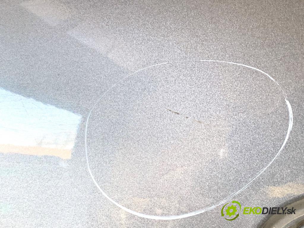 HYUNDAI i10 liftback 2008 49 kW 1.1 1086 Dvere ľavy predný