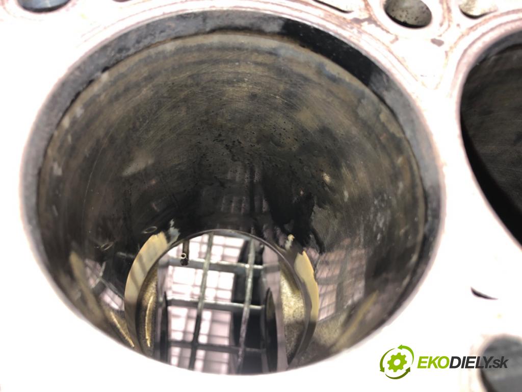 BMW F10 sedan 2010 135 kW 520 d 1995 blok Motor N47D20C (Blok motora)