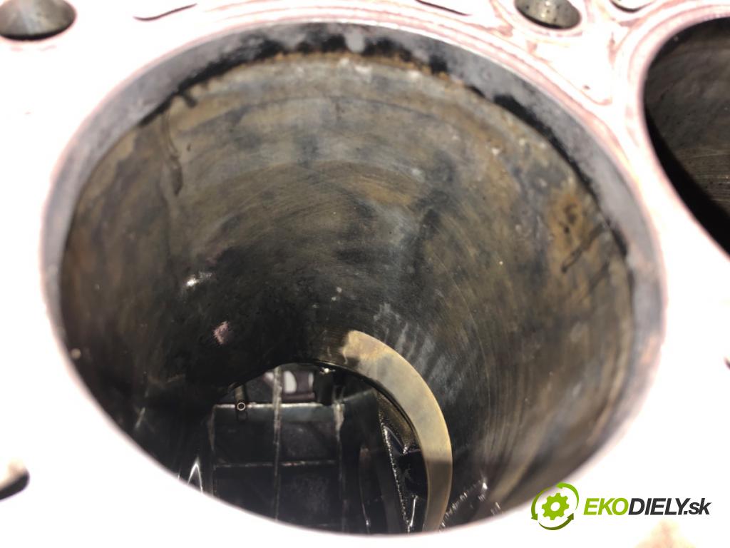 BMW F10 sedan 2010 135 kW 520 d 1995 blok Motor N47D20C (Blok motora)