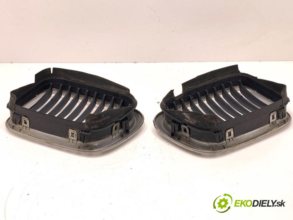 BMW E46 Kombi 2000 87 kW 318 i 1895 Mriežka maska 8159624 (Mriežka predná (maska chladiča))