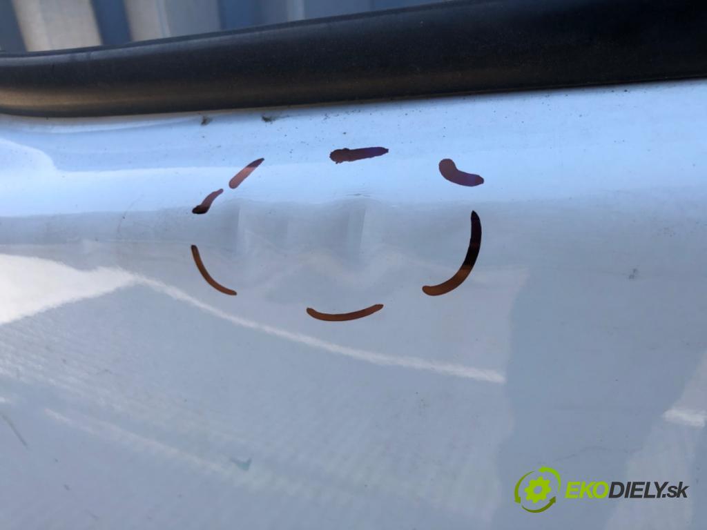 RENAULT TRAFIC II Autobus 2009 84 kW 2.0 dCi 115 1995 dveře levý přední část