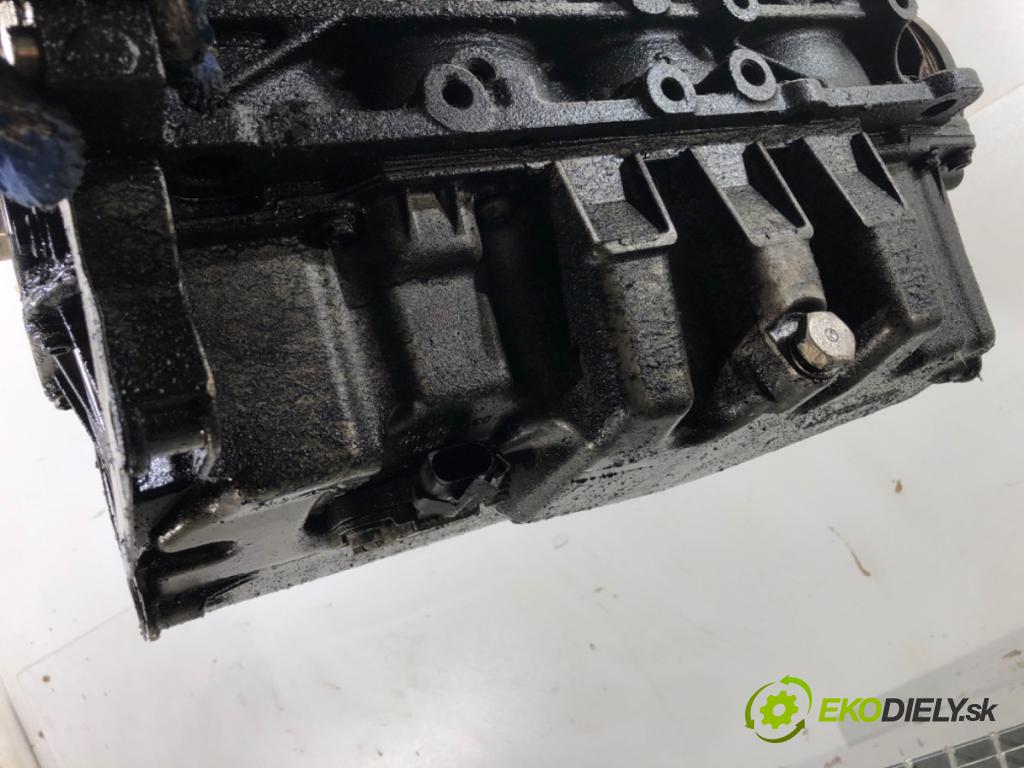 VW GOLF V Kombi 2007 77 kW 1.9 TDI 1896 Motor BLS (Motor)