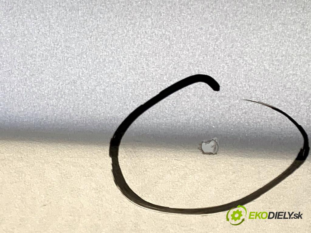 BMW E90 sedan 2005 95 kW 318 i 1995 Dvere pravy zad 354