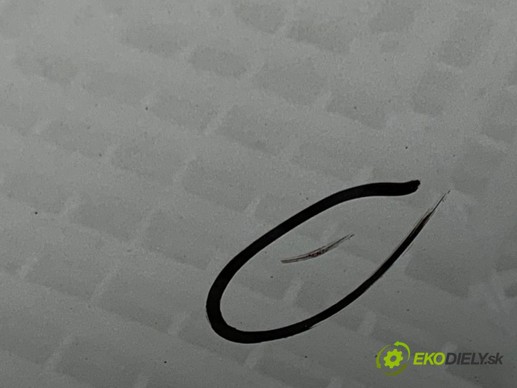 BMW E90 sedan 2005 95 kW 318 i 1995 Dvere pravy predný 354