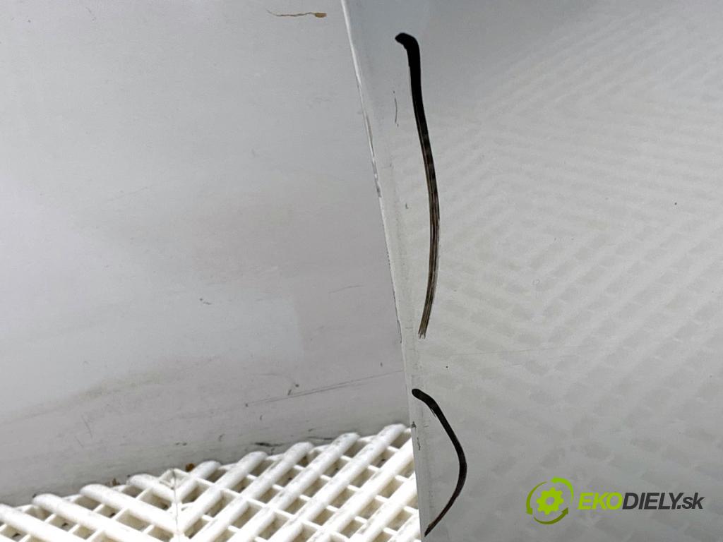 BMW E90 sedan 2005 95 kW 318 i 1995 Dvere pravy predný 354