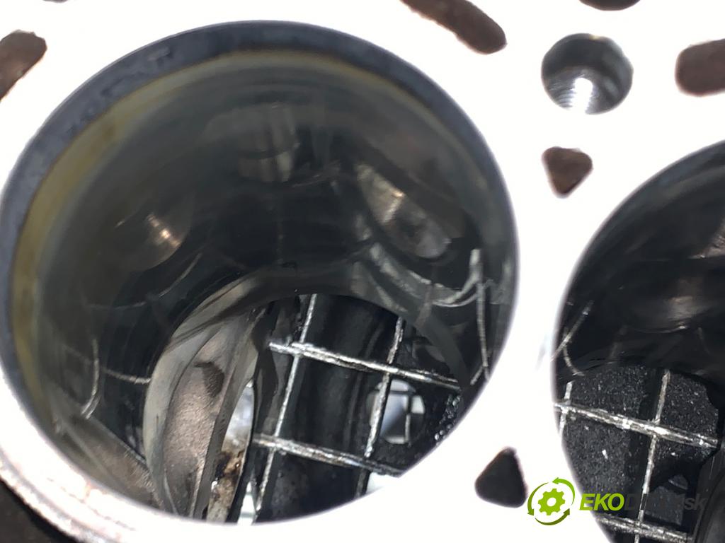 AUDI Q5 8R SUV 2011 125 kW 2.0 TDI quattro 1968 JEDNOTKA: motora 03L021CJ (Blok motoru)