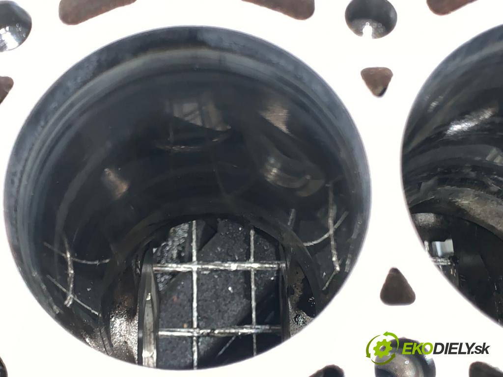 AUDI Q5 8R SUV 2011 125 kW 2.0 TDI quattro 1968 JEDNOTKA: motora 03L021CJ (Blok motoru)