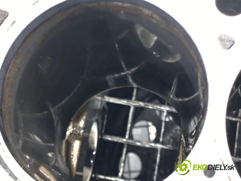 BMW E84 SUV 2013 85 kW sDrive 16 d 1995 JEDNOTKA: motora 7810596 (Blok motoru)