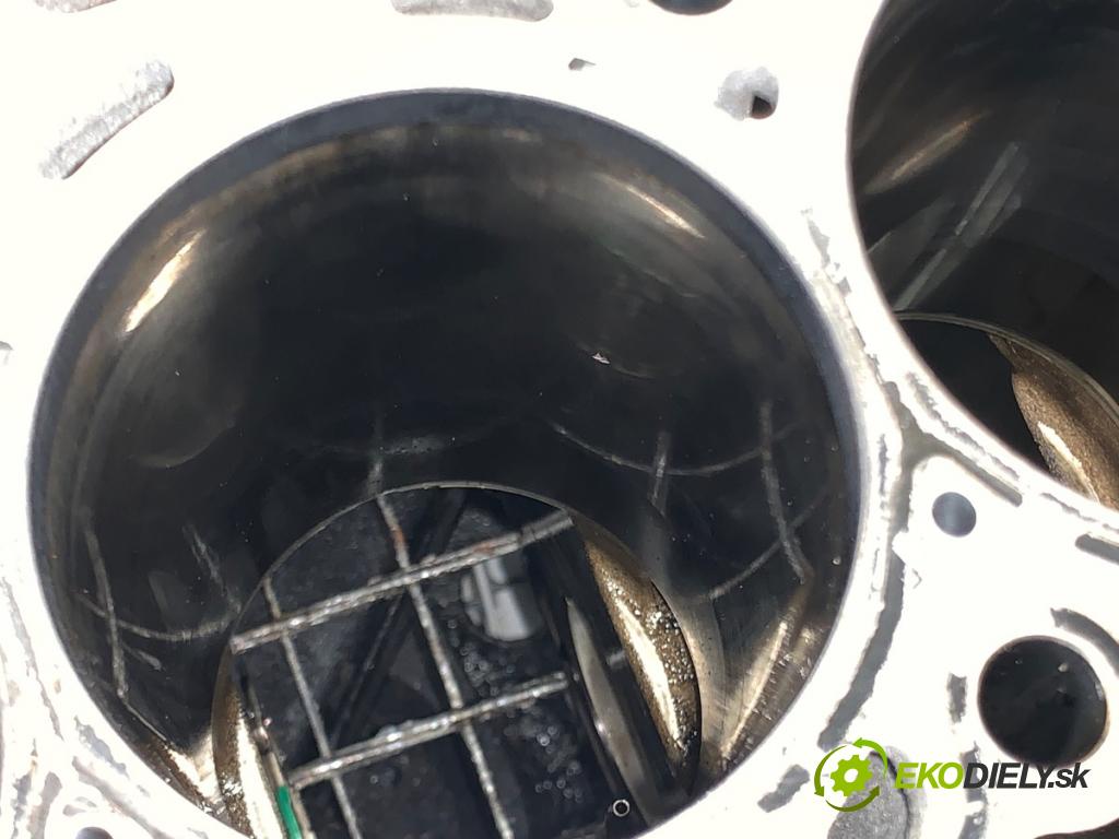 BMW E84 SUV 2013 85 kW sDrive 16 d 1995 JEDNOTKA: motora 7810596 (Blok motoru)