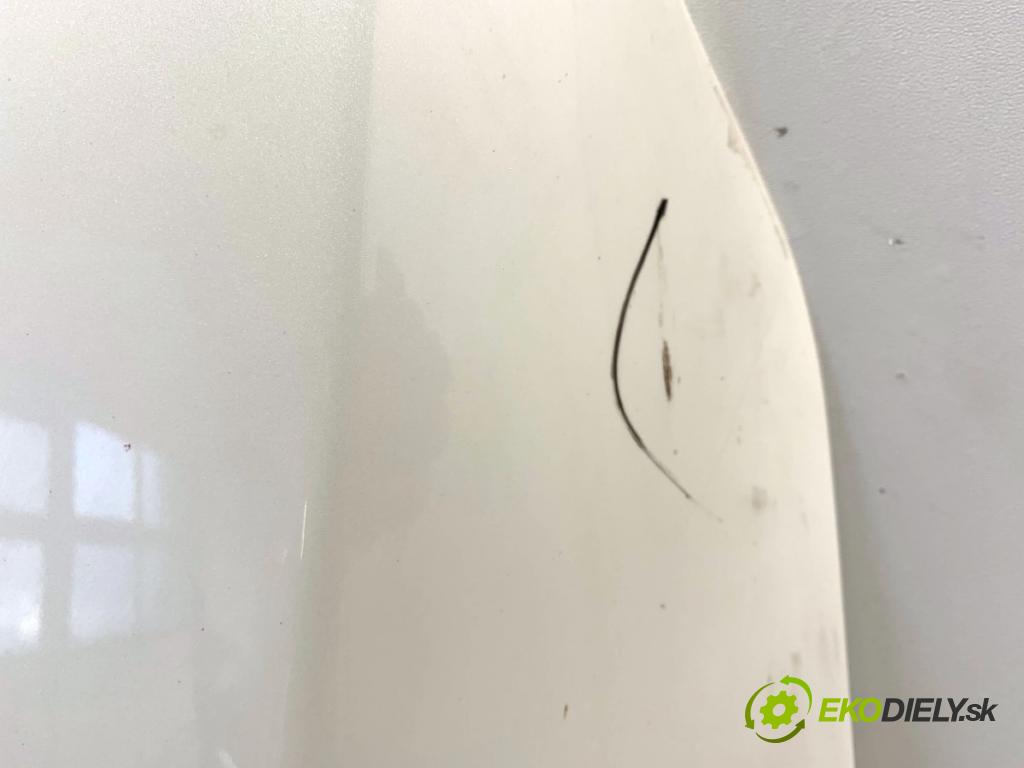 FORD USA ESCAPE III  2017 179 kW 2.0 179 kW [242 KM] 2017 - 2018 1983 kapota  (Kapota)