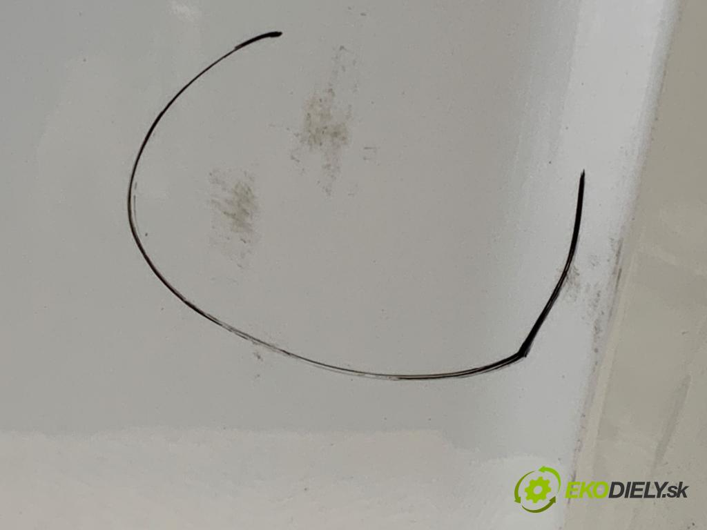 FORD USA ESCAPE III  2017 179 kW 2.0 179 kW [242 KM] 2017 - 2018 1983 kapota  (Kapota)