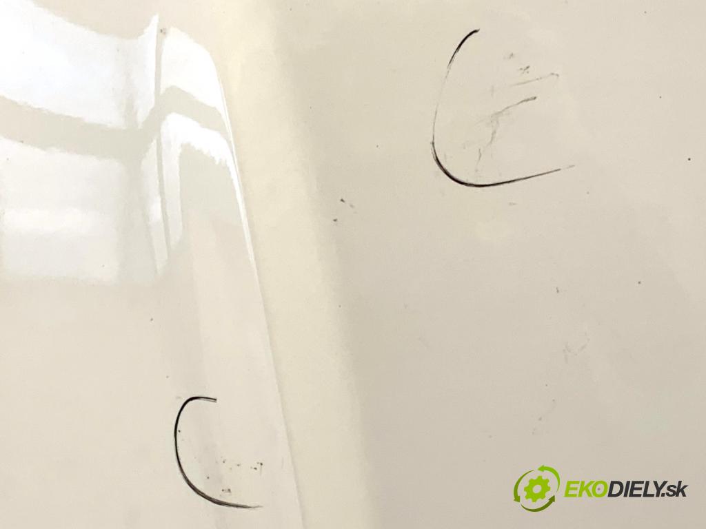 FORD USA ESCAPE III  2017 179 kW 2.0 179 kW [242 KM] 2017 - 2018 1983 kapota  (Kapota)