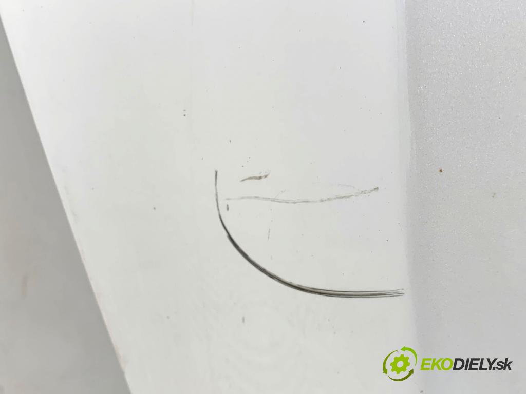 FORD USA ESCAPE III  2017 179 kW 2.0 179 kW [242 KM] 2017 - 2018 1983 kapota  (Kapota)