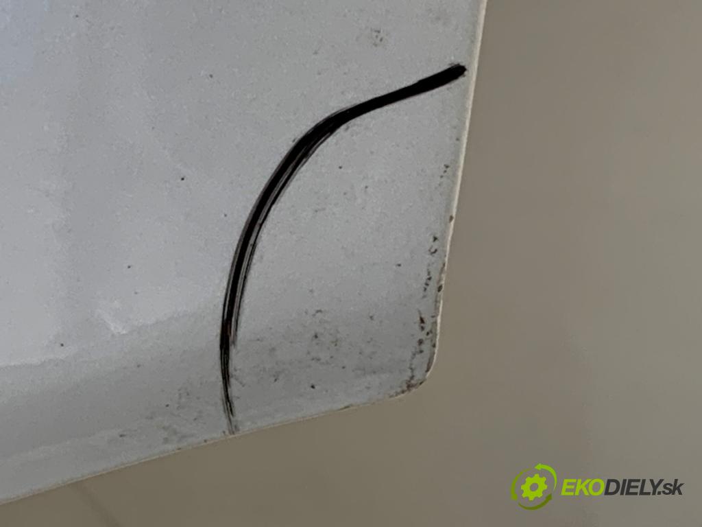 FORD USA ESCAPE III  2017 179 kW 2.0 179 kW [242 KM] 2017 - 2018 1983 Dvere ľavy zad