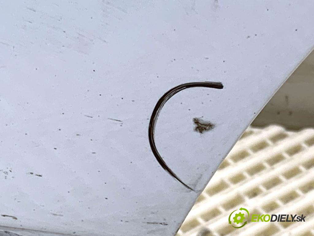 FORD USA ESCAPE III  2017 179 kW 2.0 179 kW [242 KM] 2017 - 2018 1983 Dvere ľavy zad