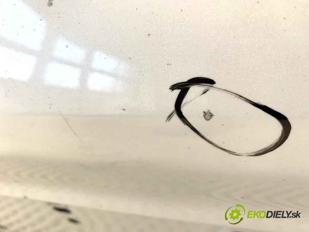 FORD USA ESCAPE III  2017 179 kW 2.0 179 kW [242 KM] 2017 - 2018 1983 Dvere ľavy predný