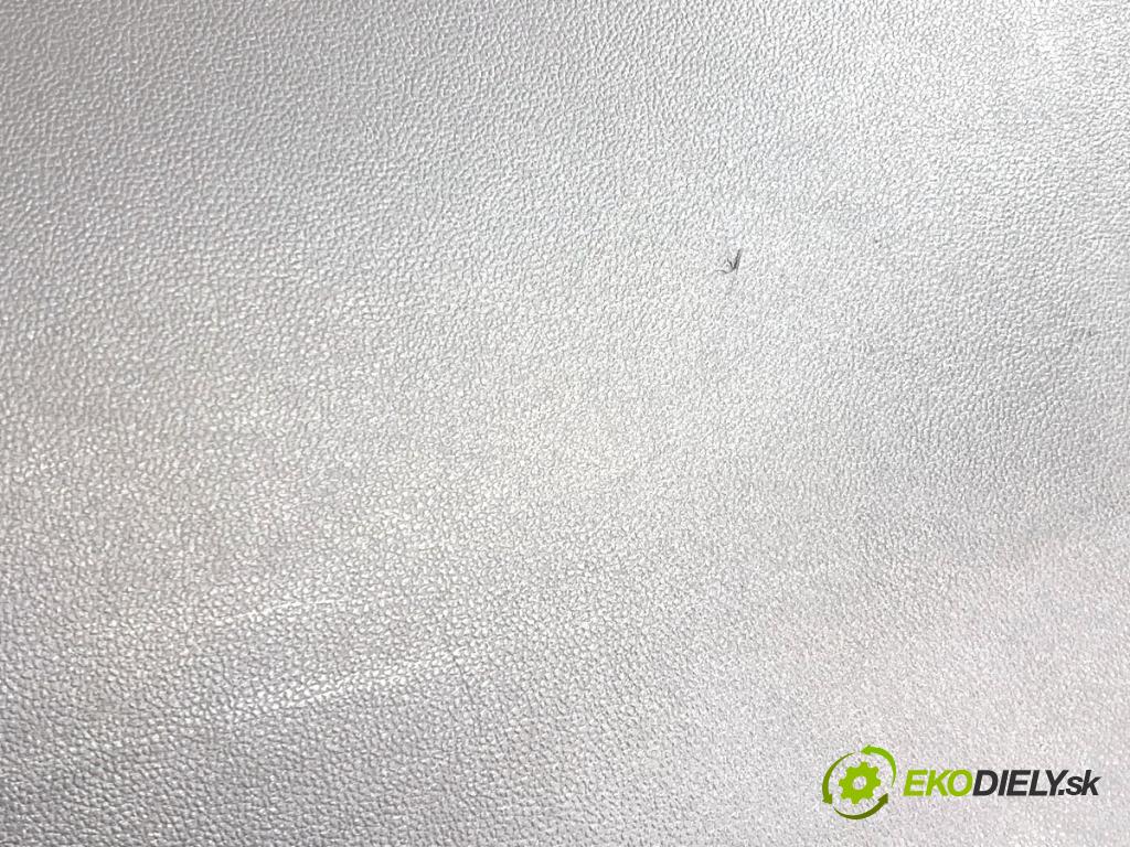 RENAULT MASTER III Skrzynia 2021 120 kW 2.3 dCi 165 FWD (FV0P, FV0U, FV11, FV12) 2298 Priehradka, kastlík spolujazdca 685003438R (Priehradka (kastlík))