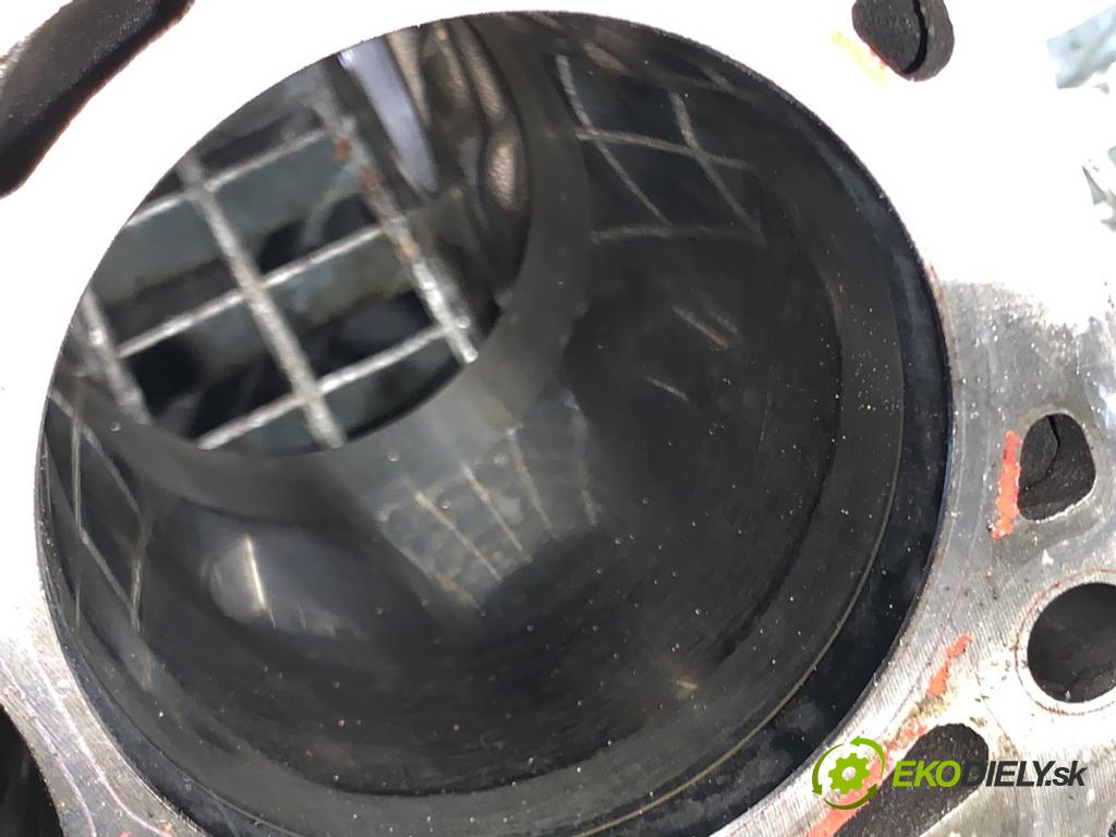 AUDI A6 C7 Kombi 2016 200 kW 3.0 TDI quattro 2967 blok Motor 059023CC CRTD (Blok motora)