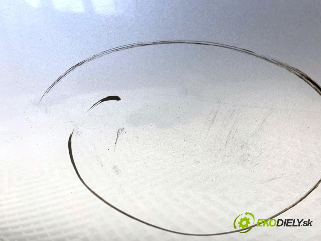 VW GOLF V liftback 2008 103 kW 1.4 TSI 1390 Kapota LA7W (Kapota)