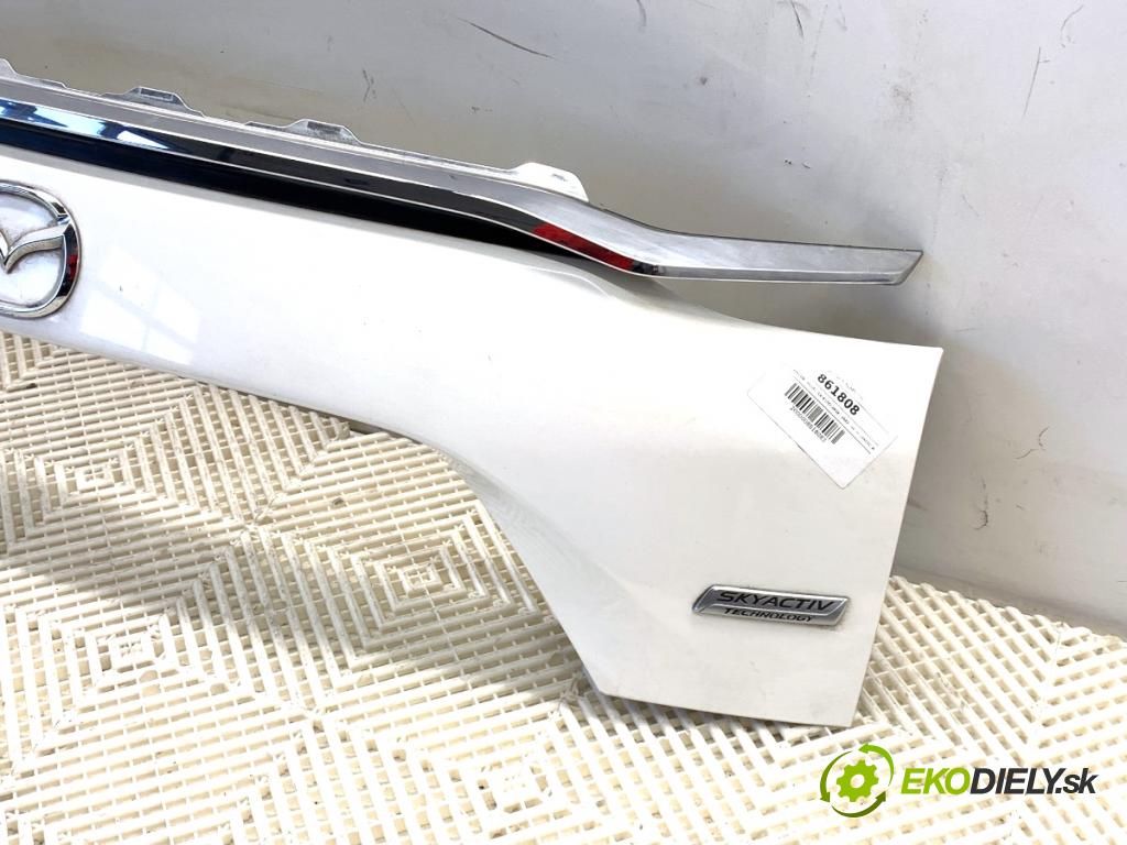 MAZDA CX-9 SUV 2016 184 kW 2.5 T AWD 2488 Zadné čelo dverí zad TK48-50851
