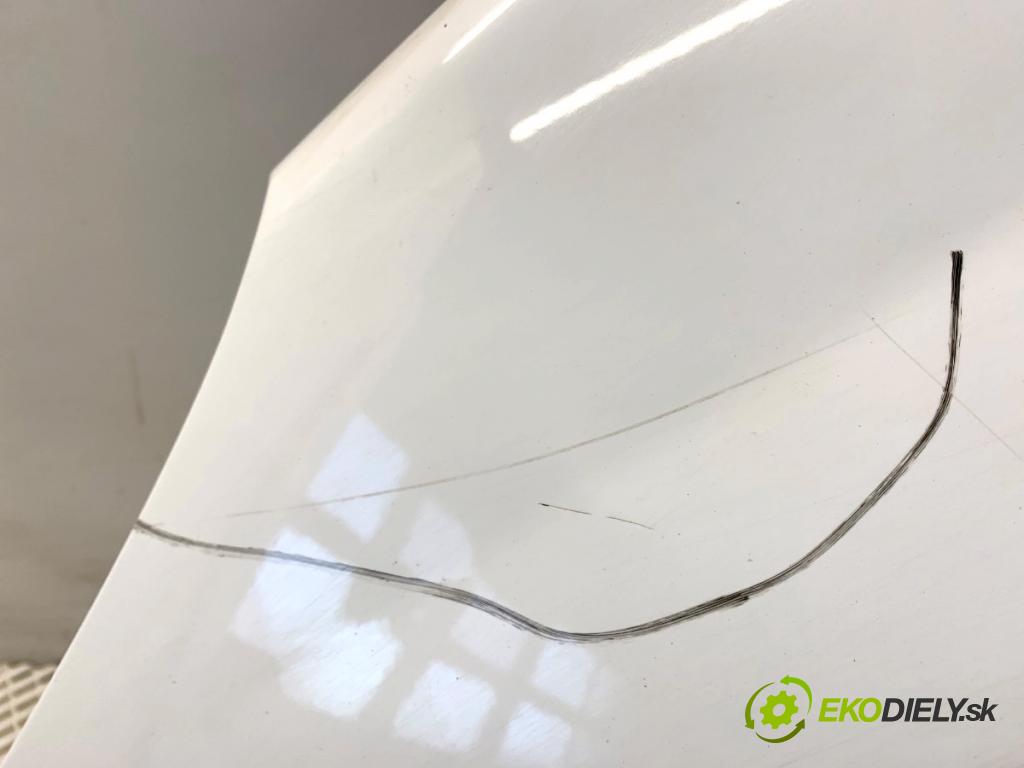 PEUGEOT 207 Kombi 2009 66 kW 1.6 HDi 1560 Blatník ľavy predný
