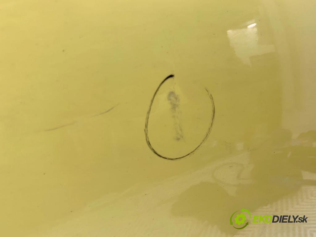 SKODA FABIA II liftback 2008 77 kW 1.9 TDI 1896 dveře pravý přední část 6226