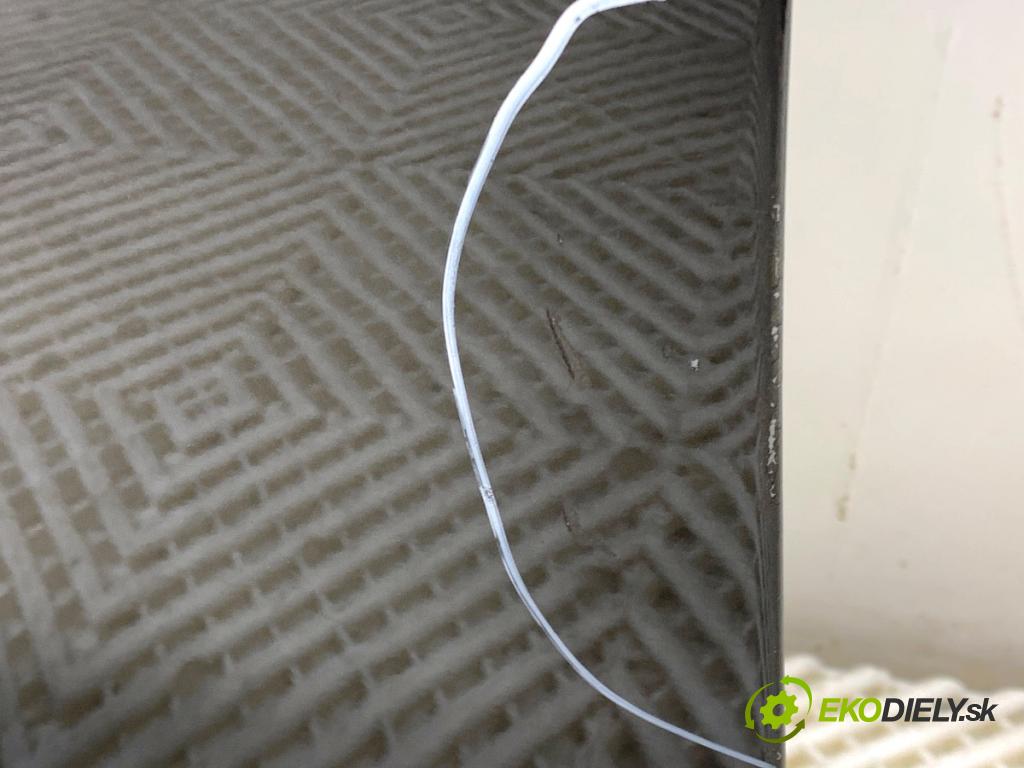 BMW E61 Kombi 2006 120 kW 520 d 1995 Dvere ľavy predný