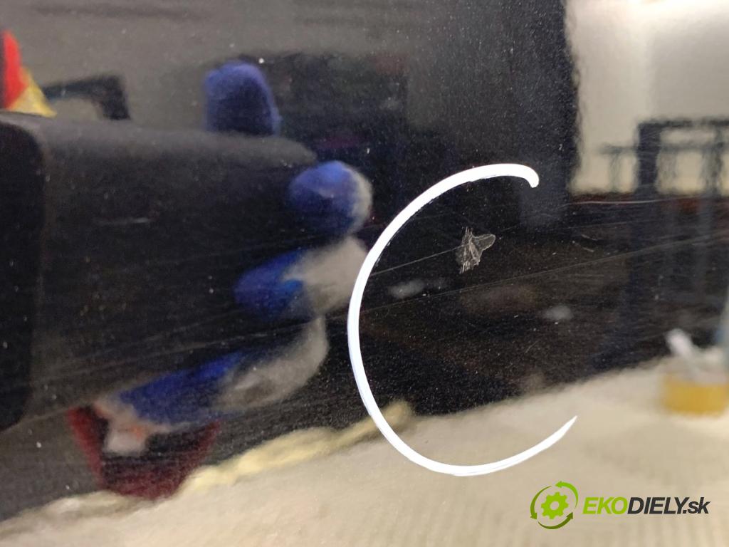 BMW E61 Kombi 2006 120 kW 520 d 1995 Dvere ľavy predný