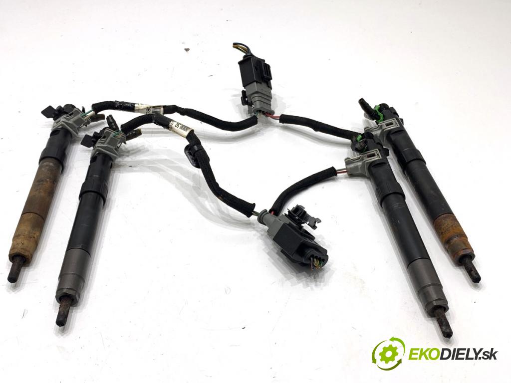 FORD C-MAX II nadwozie wielkoprzestrzenne (MPV) 2011 103 kW 2.0 TDCi 1997 Vstrekovacie ventily 9686191080