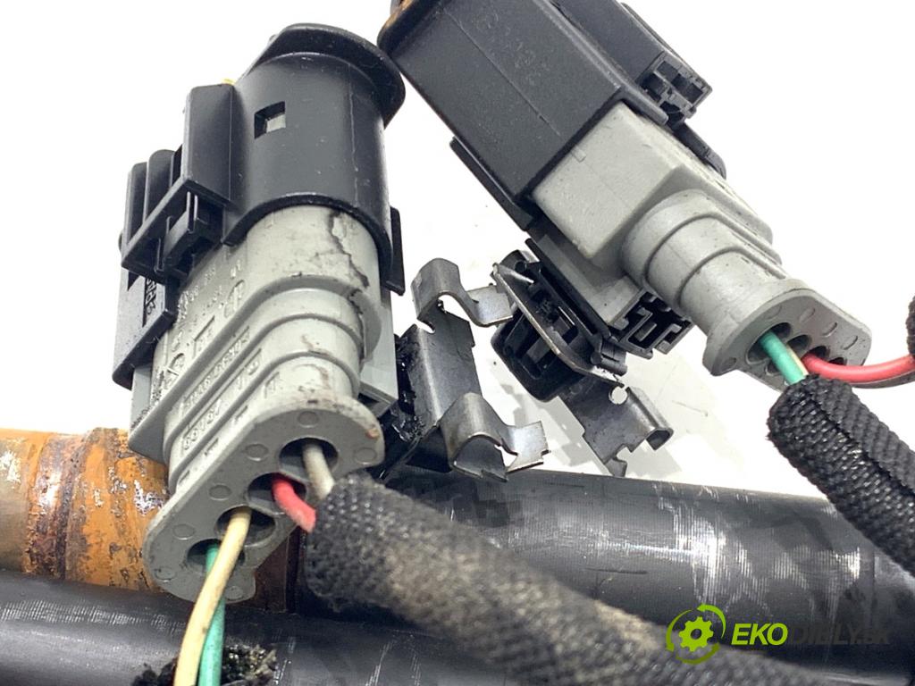 FORD C-MAX II nadwozie wielkoprzestrzenne (MPV) 2011 103 kW 2.0 TDCi 1997 Vstrekovacie ventily 9686191080