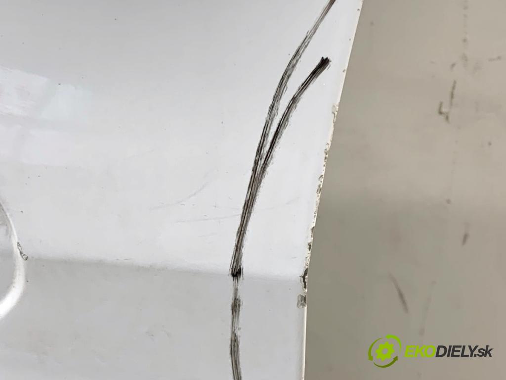 FORD C-MAX II nadwozie wielkoprzestrzenne (MPV) 2011 103 kW 2.0 TDCi 1997 Dvere ľavy predný