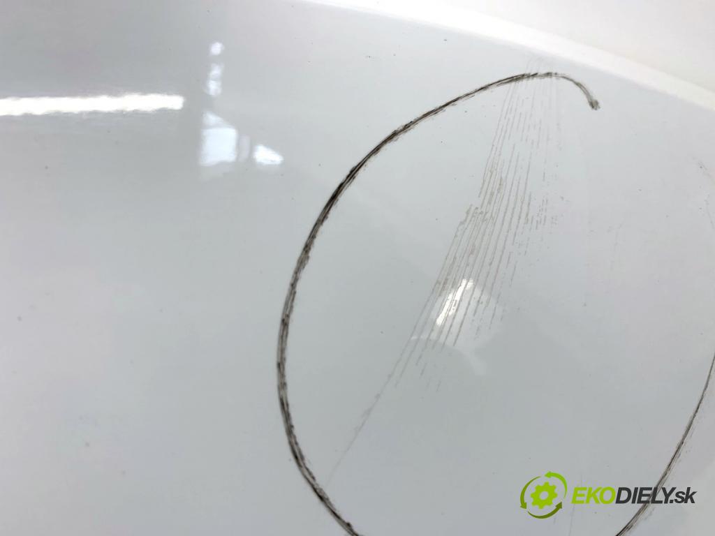 FORD C-MAX II nadwozie wielkoprzestrzenne (MPV) 2011 103 kW 2.0 TDCi 1997 Blatník pravy predný