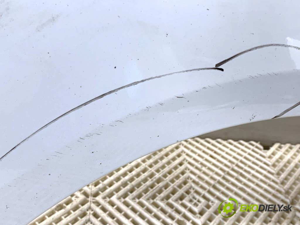 FORD C-MAX II nadwozie wielkoprzestrzenne (MPV) 2011 103 kW 2.0 TDCi 1997 Blatník pravy predný