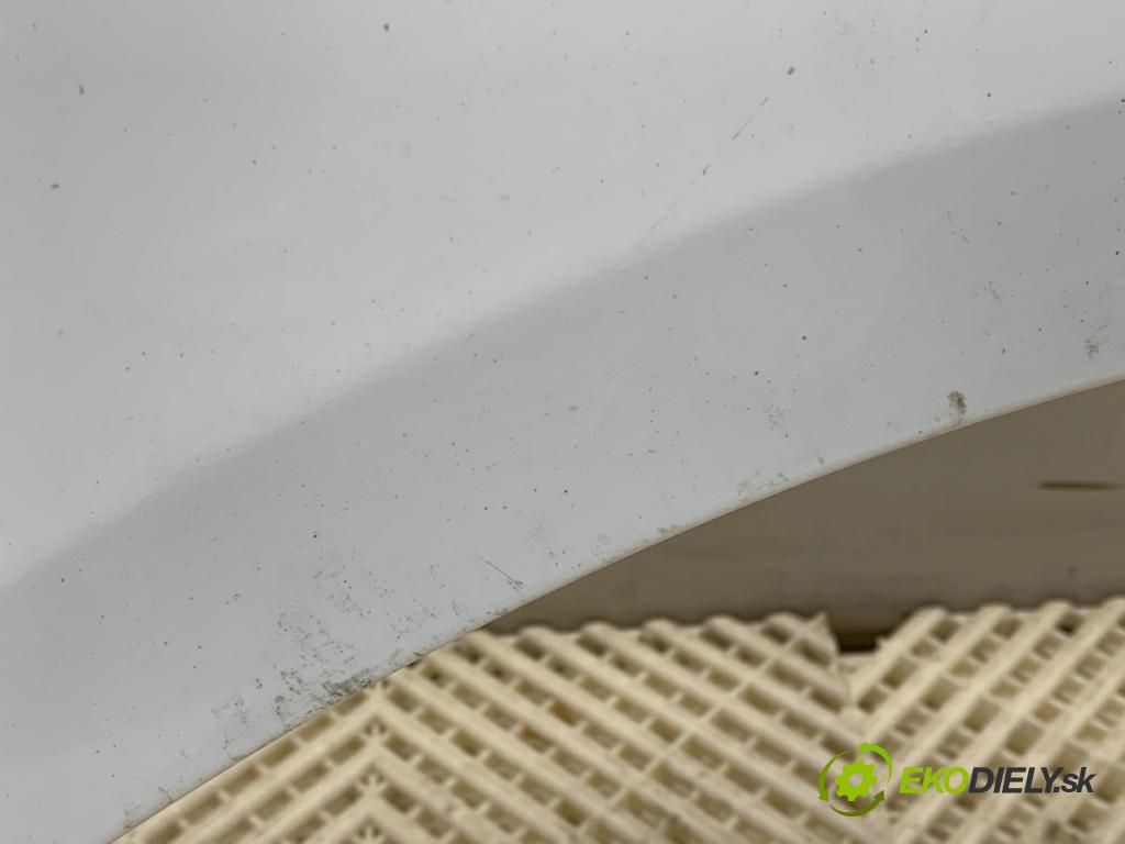 FORD C-MAX II nadwozie wielkoprzestrzenne (MPV) 2011 103 kW 2.0 TDCi 1997 Blatník ľavy predný