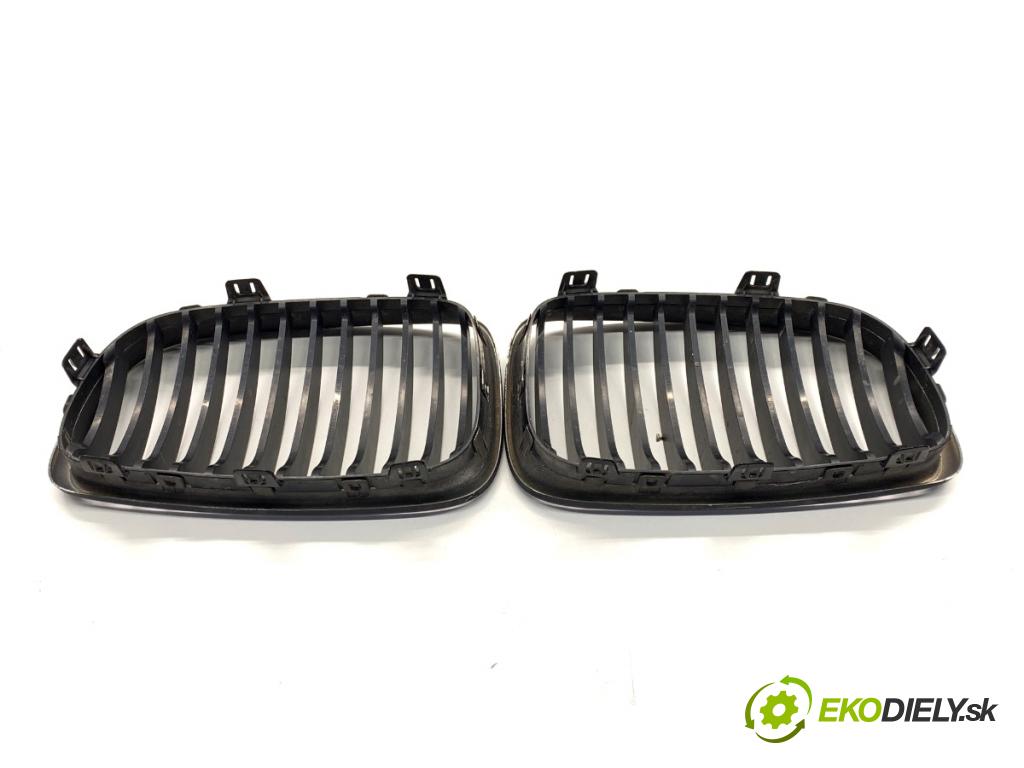 BMW E87 liftback 2007 90 kW 116 i 1599 Mriežka maska 7179656 (Mriežka predná (maska chladiča))