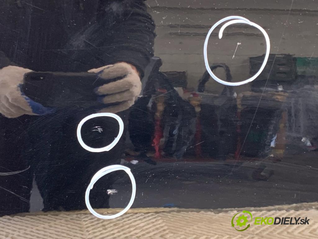 BMW E61 Kombi 2006 110 kW 520 d 1995 Dvere ľavy zad 668