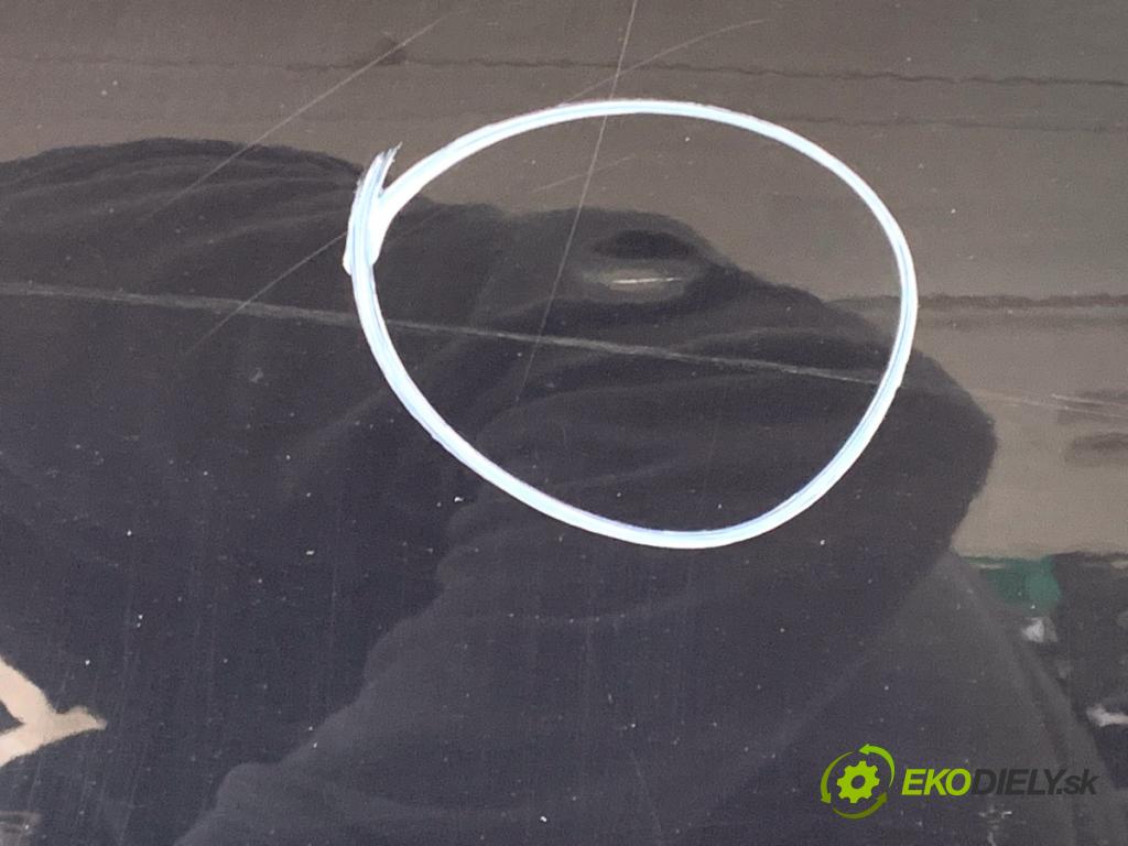 BMW E61 Kombi 2006 110 kW 520 d 1995 Dvere ľavy predný 668