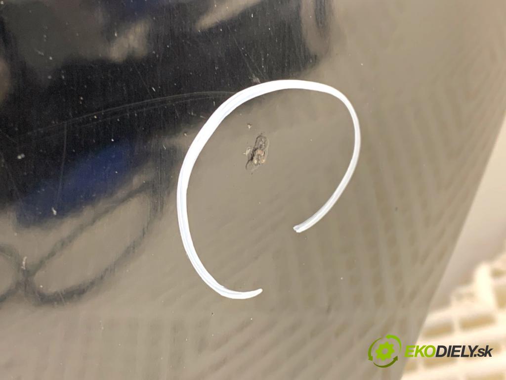 VW TOURAN nadwozie wielkoprzestrzenne (MPV) 2005 66 kW 1.9 TDI 1896 Kapota (Kapota)