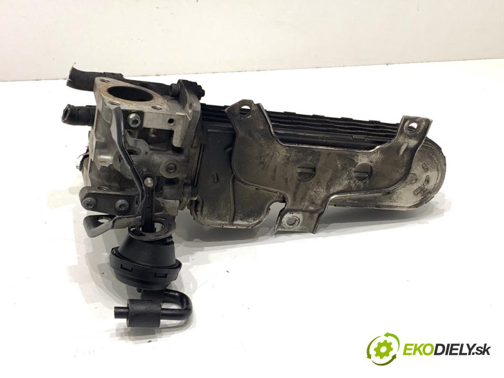 VW TOURAN nadwozie wielkoprzestrzenne (MPV) 2005 66 kW 1.9 TDI 1896 Chladič EGR 038131513AD