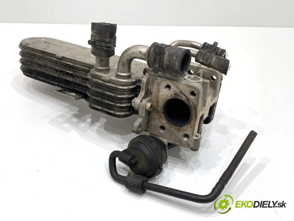 VW TOURAN nadwozie wielkoprzestrzenne (MPV) 2005 77 kW 1.9 TDI 1896 Chladič EGR 038131513AD