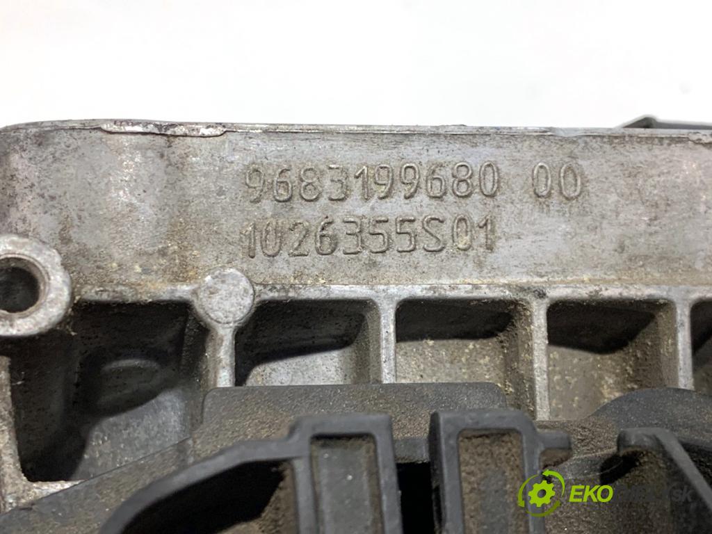 CITROEN DS4 liftback 2011 120 kW 2.0 HDi 165 1997 obal filtra paliva 9683199680 (Kryt palivového filtru)