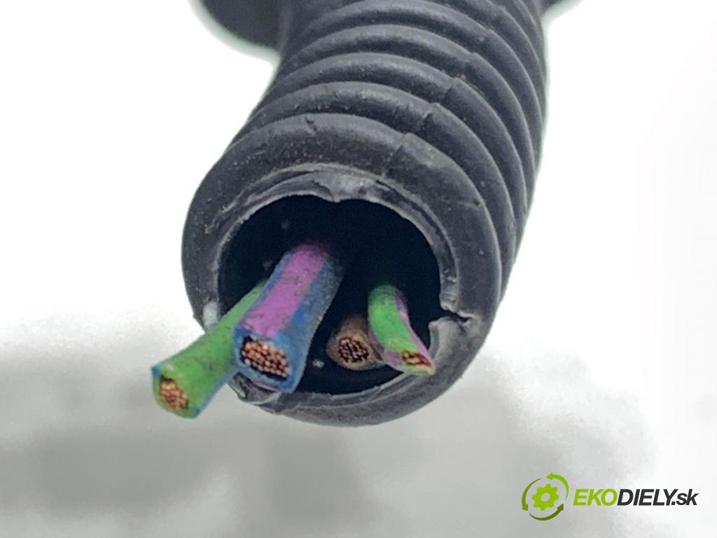 VW SHARAN nadwozie wielkoprzestrzenne (MPV) 2011 103 kW 2.0 TDI 1968 Váha vzduchu 03L906461A (Váha vzduchu)