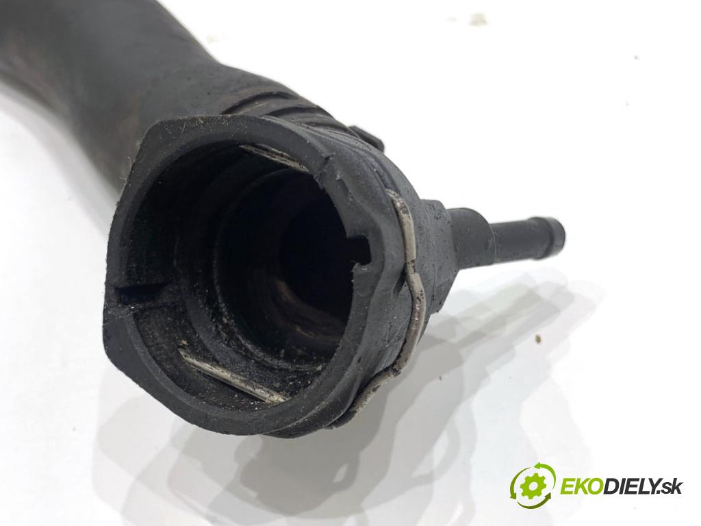 VW SHARAN nadwozie wielkoprzestrzenne (MPV) 2011 103 kW 2.0 TDI 1968 Rúra vody 3C0122291