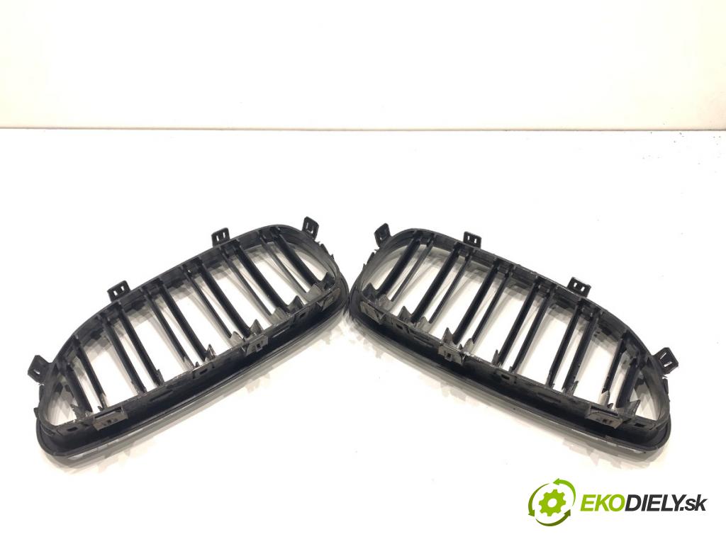 BMW E60 sedan 2004 170 kW 530 i 2979 Mriežka maska  (Mriežka predná (maska chladiča))